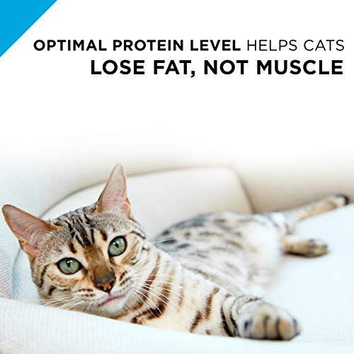Texture pâtée humide et agréable à mâcher Purina Pro Plan Weight Control.
