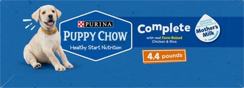 Portions quotidiennes recommandées pour chiots en croissance