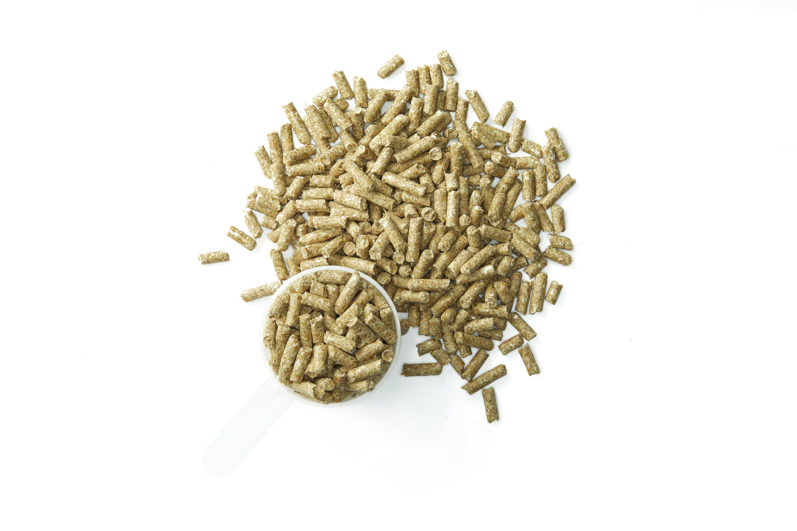 Purina SystemIQ Probiotique Cheval – soutien potentiel du microbiome équin lors de l'entraînement