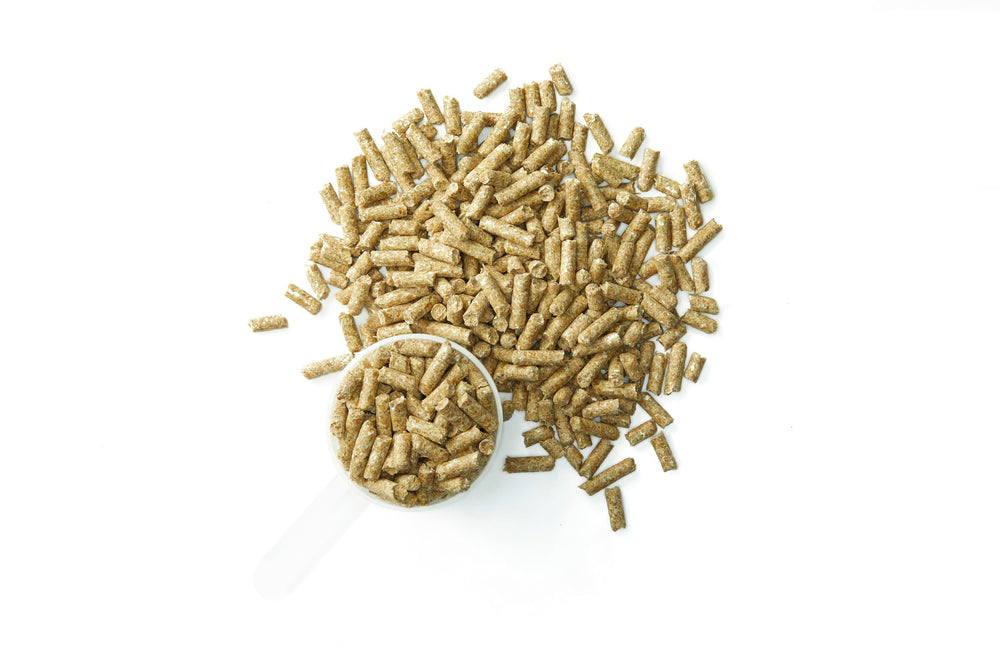 Purina SystemIQ Probiotique Cheval – soutien potentiel du microbiome équin lors de l'entraînement