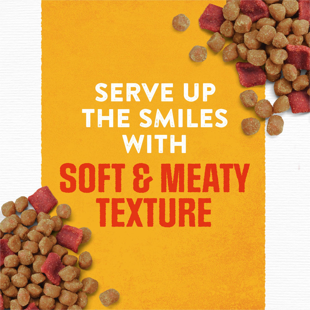 Purina – texture tendre et viande appétissante dans le sachet.