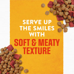Purina – texture tendre et viande appétissante dans le sachet.
