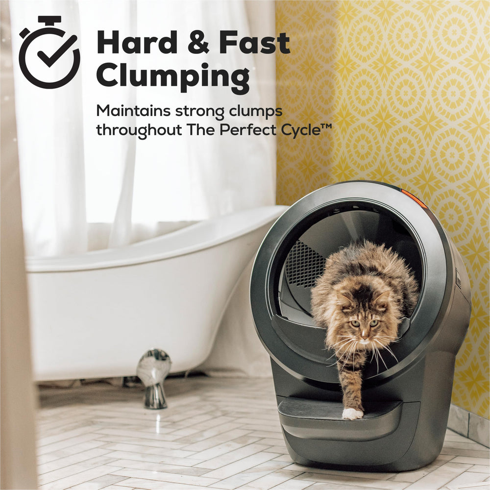 Purina Tidy Cats agglomération rapide et solide pendant le cycle
