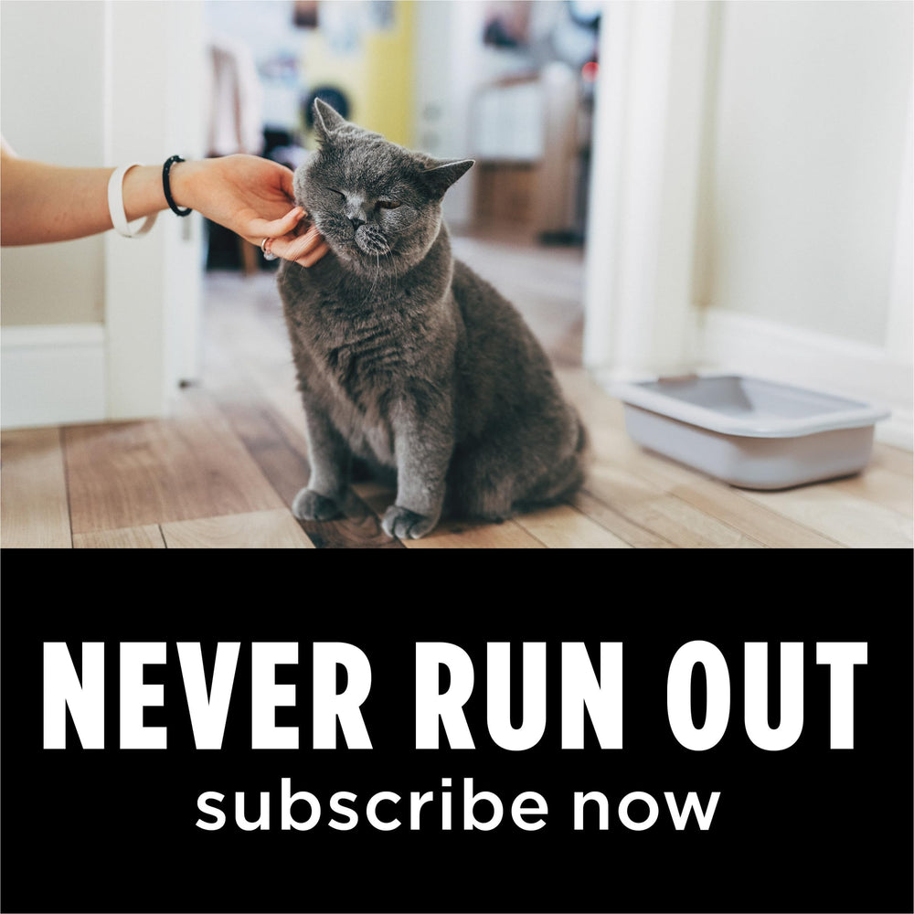 Purina Tidy Cats Performance Plus faible traînée et nettoyage facile du bac.