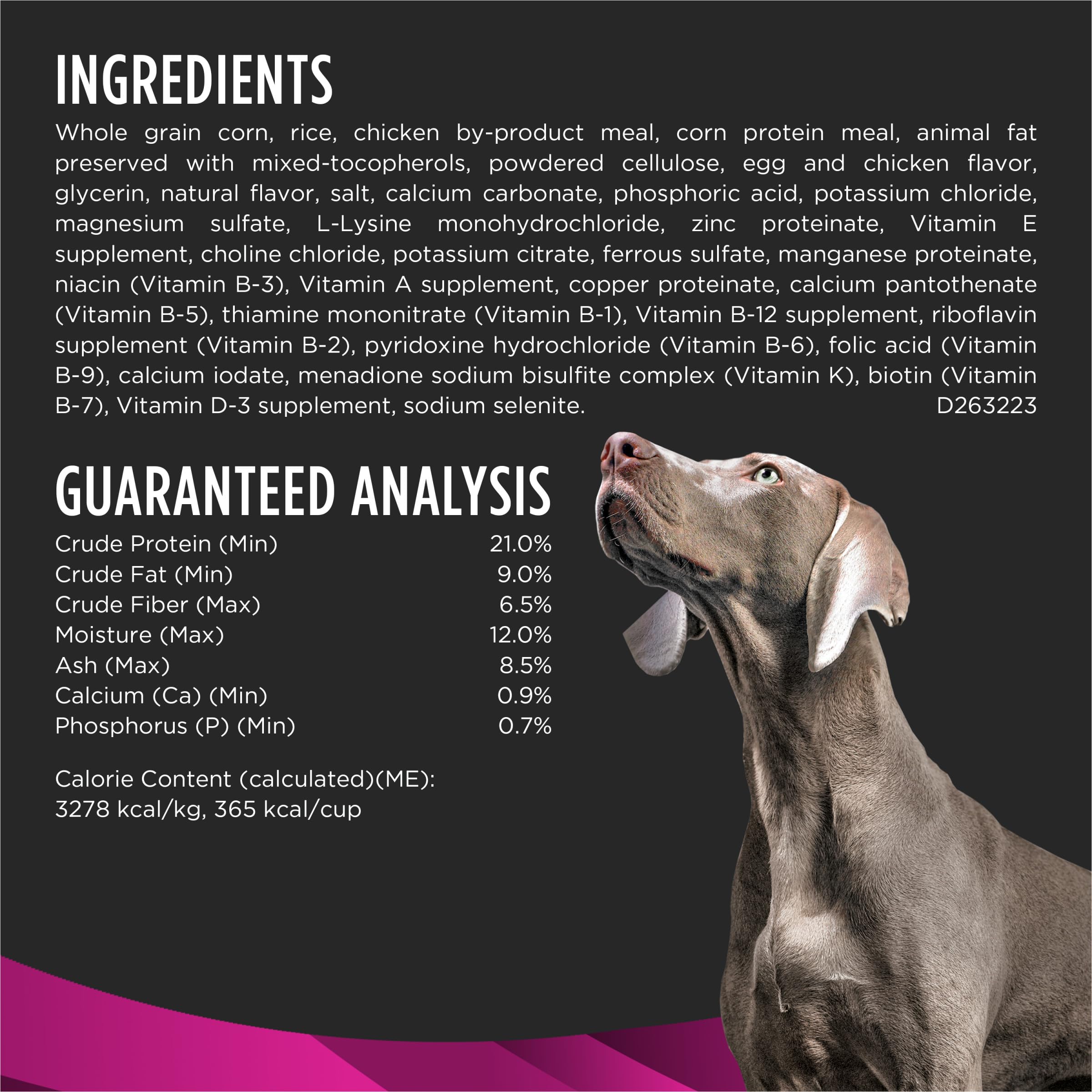 Purina UR Urinaire Ox/St, protéines de haute qualité pour chiens adultes.