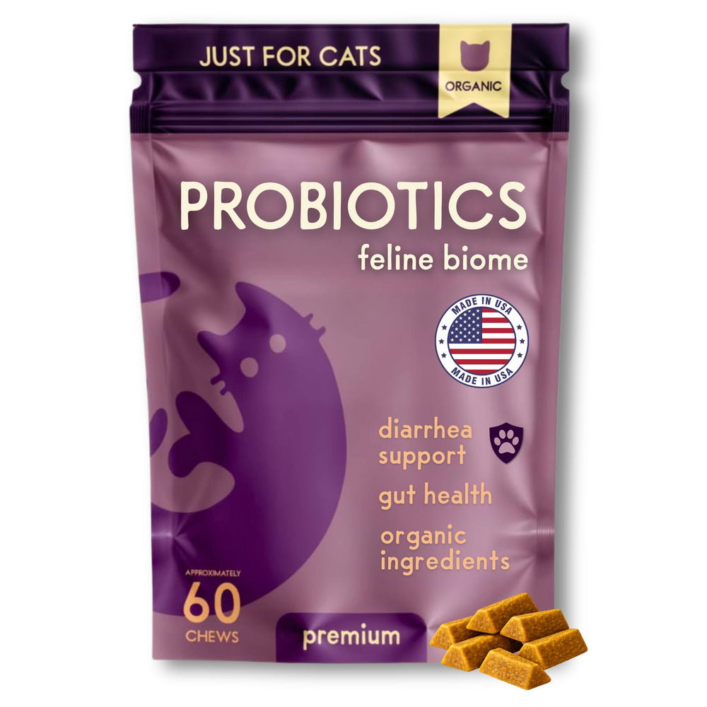 Purple Cat Feline Biome: bouchées-poulet pour soutenir la digestion chez le chat