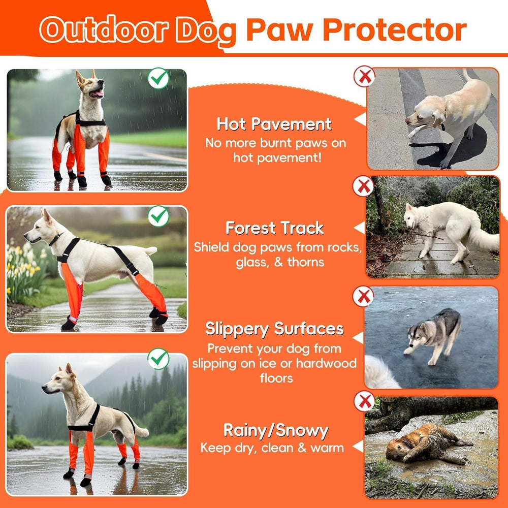 PurrHug bottes chien protection contre pierres et glace lors d'activites plein-air.
