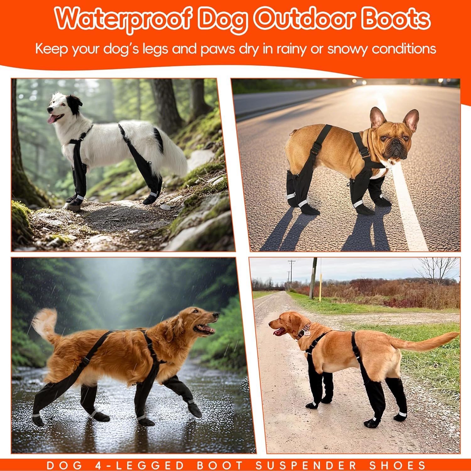 Tailles compatibles-chien multi-taille pour tous types de morphologies.