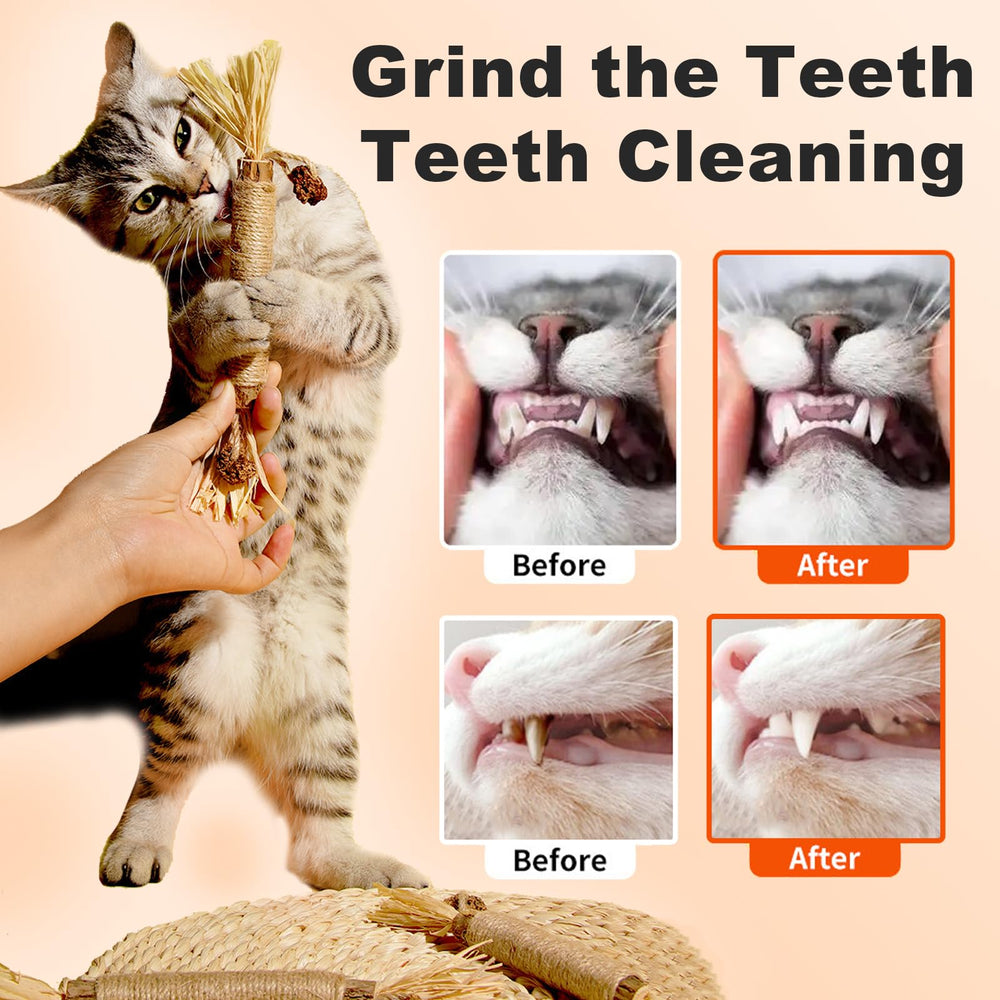 Purriq batonnet vigne-dargent design interactif pour chat