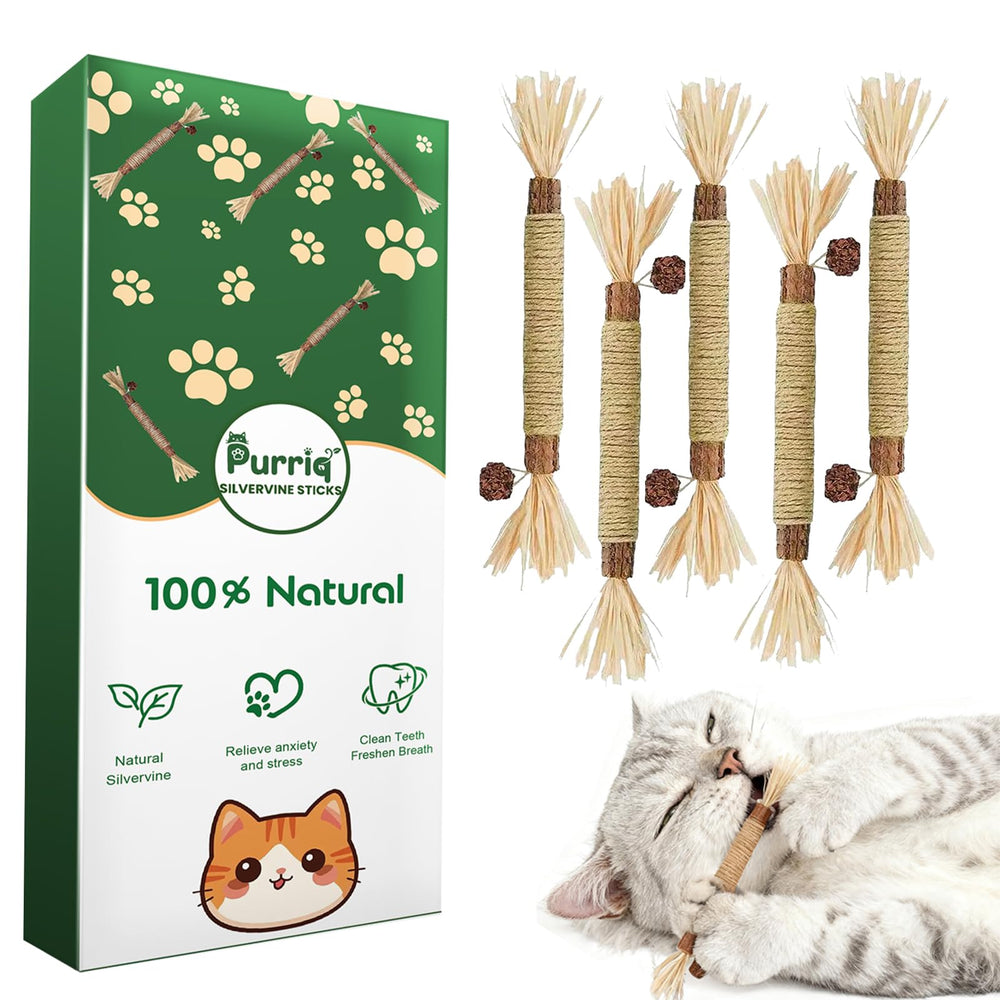 Purriq bâtons dentaires argentés pour chat, stimulation naturelle lors du jeu
