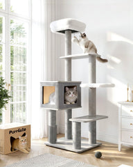 Purrlato Arbre Chat Maine Coon - base solide offrant stabilité.