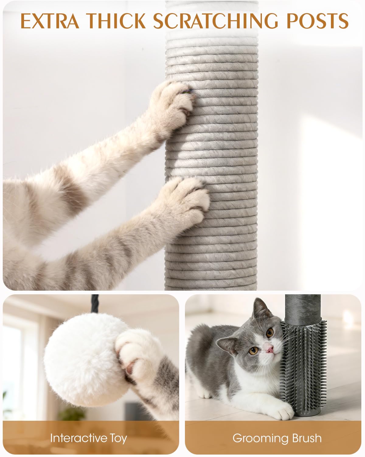 Purrlato Arbre Chat Maine Coon - design moderne gris et finitions élégantes.