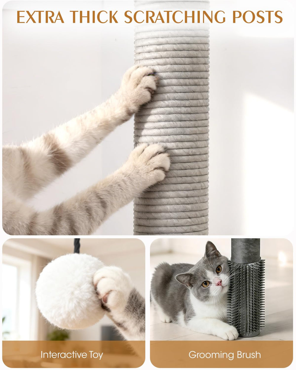 Purrlato Arbre Chat Maine Coon - design moderne gris et finitions élégantes.