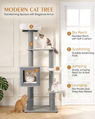 Purrlato Arbre Chat Maine Coon - niveaux spacieux pour exploration verticale.