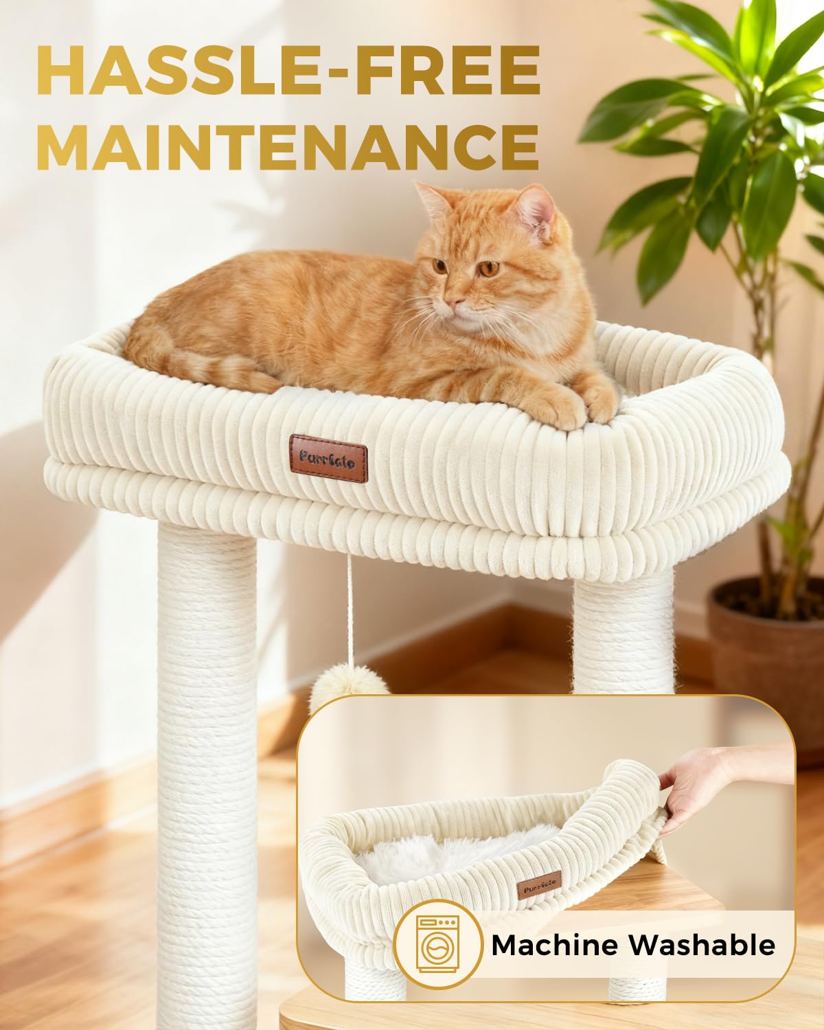 Purrlato Base au sol stable, installation simple et sécurisée