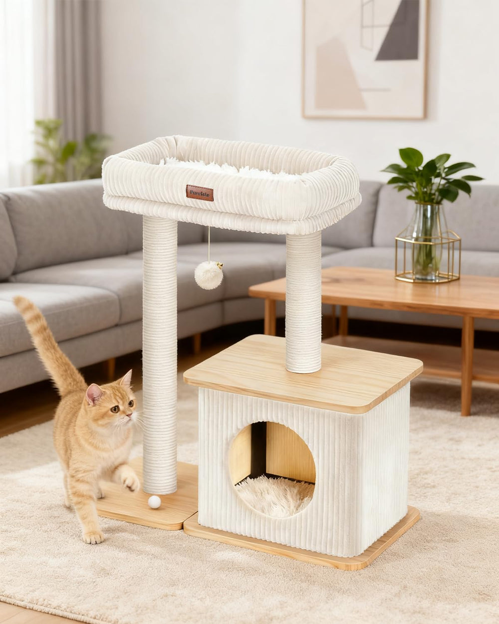 Purrlato Design nordique en bois chaleureux, s’intègre facilement dans le séjour