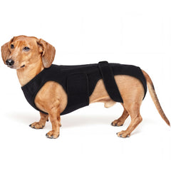 Purrlia attelle dorsale chiens – soutien dorsal efficace pour arthrite et mobilité.