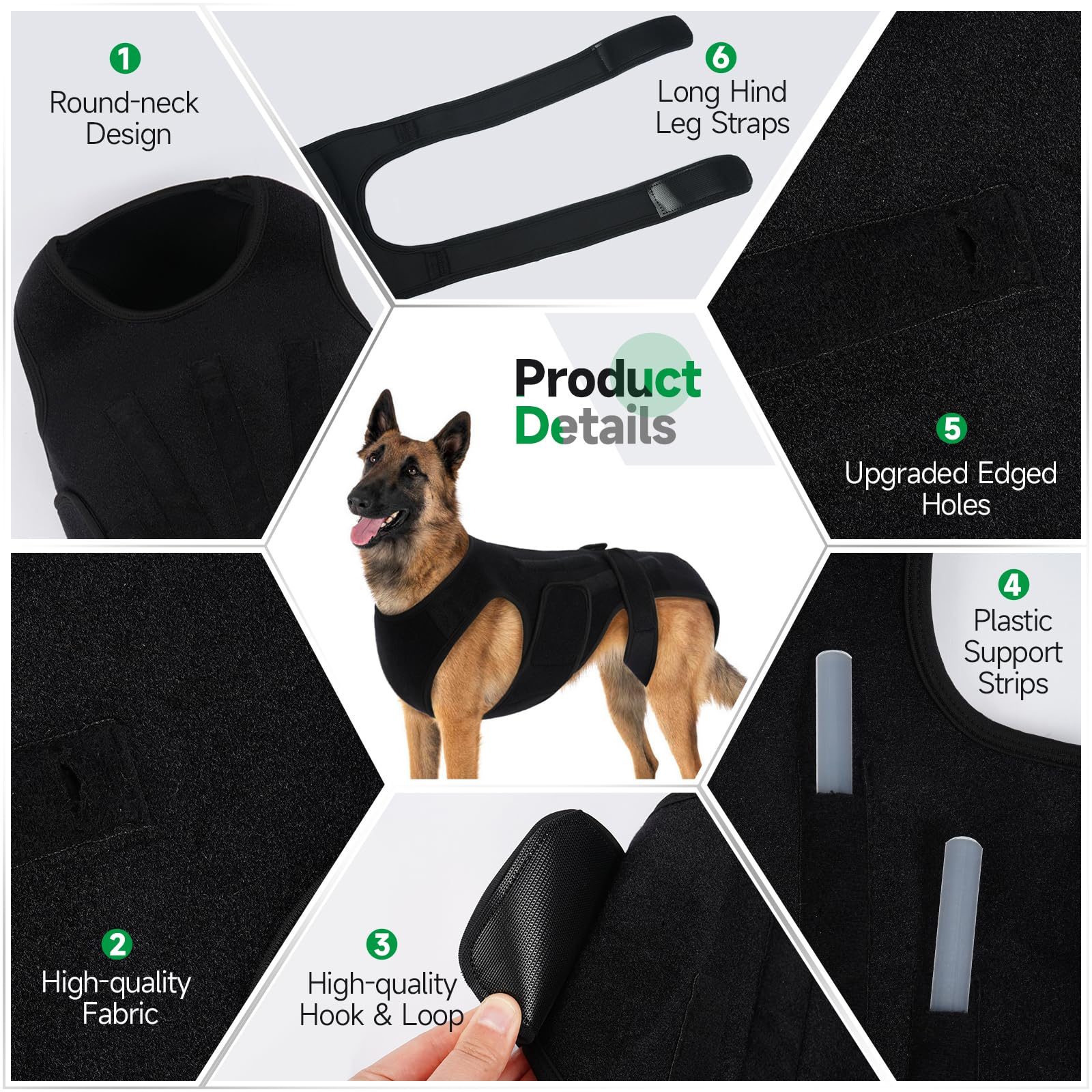 Sangle Velcro PURRLIA avec ajustement facile pour chien.