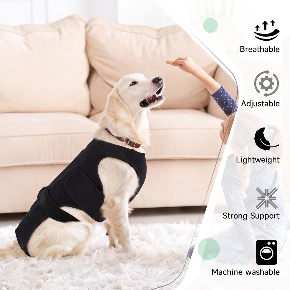 Tailles XS à 3XL pour s’adapter à la plupart des chiens PURRLIA.