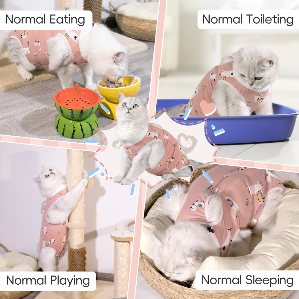Alternative au cône avec Purrpurrpets, confort amélioré.