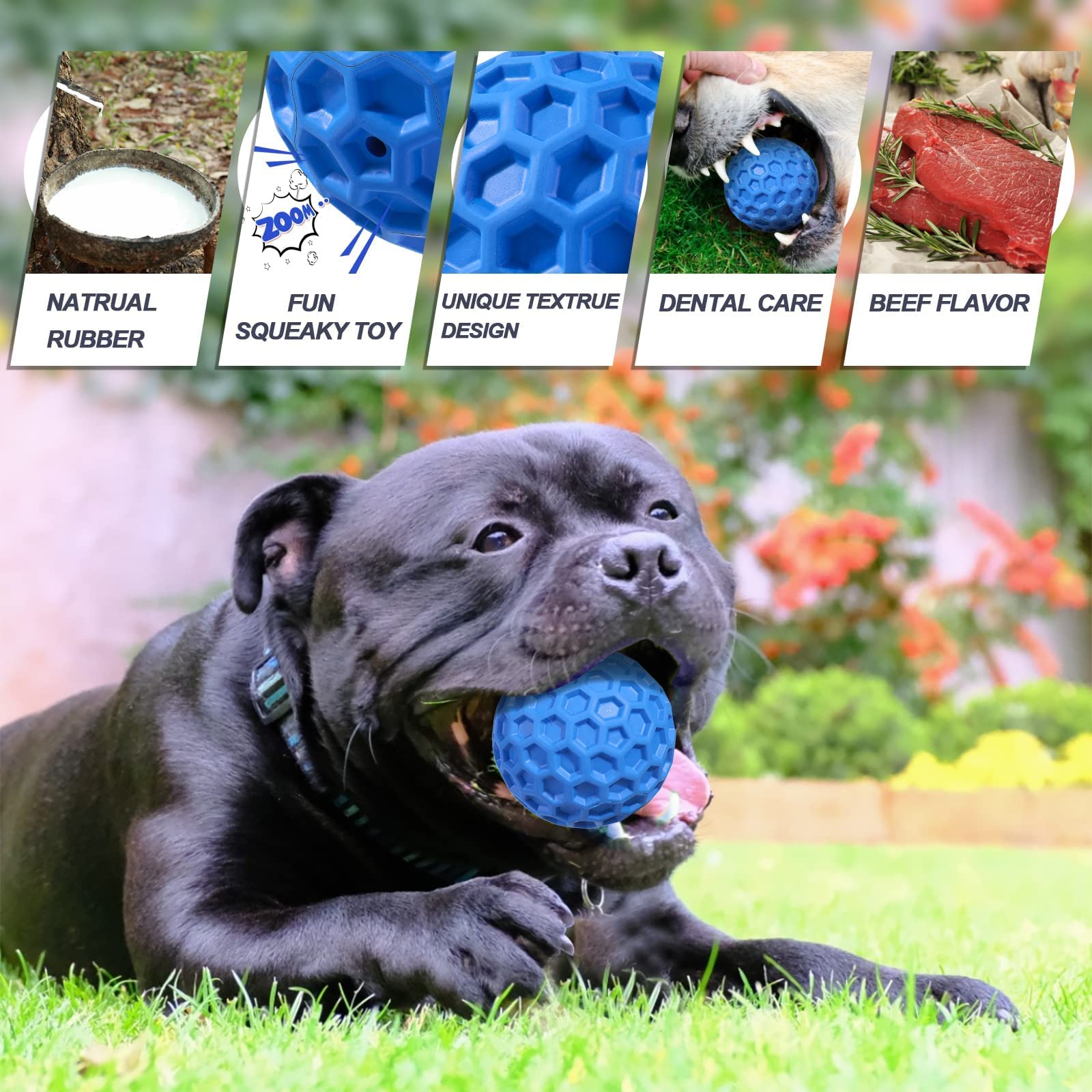 Caoutchouc naturel durable Putago, jouet pour chiens mordeurs et actifs.