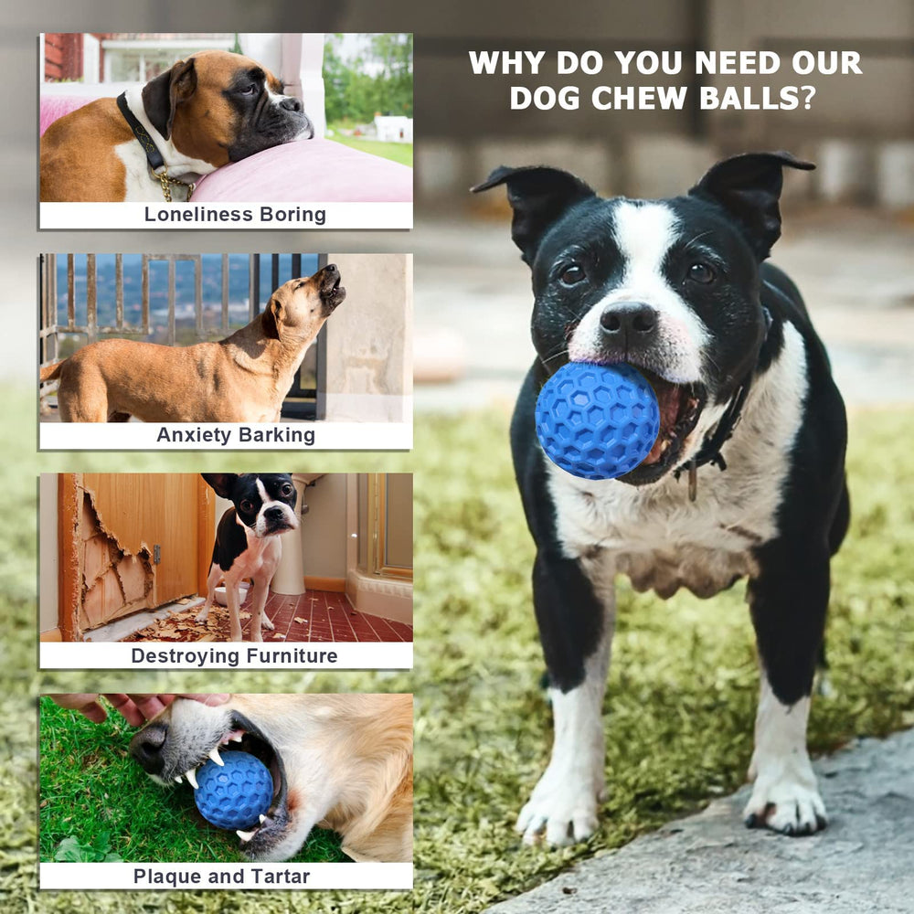 Jouet interactif Putago, jeu polyvalent pour chien et moments de complicité.