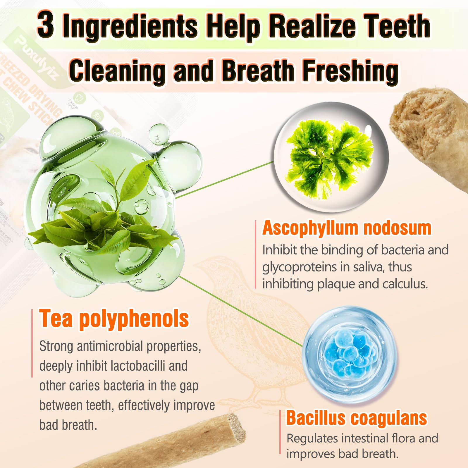 Puxulyiz Sticks Chat Probiotiques: contient Bacillus Coagulans pour le soutien digestif.