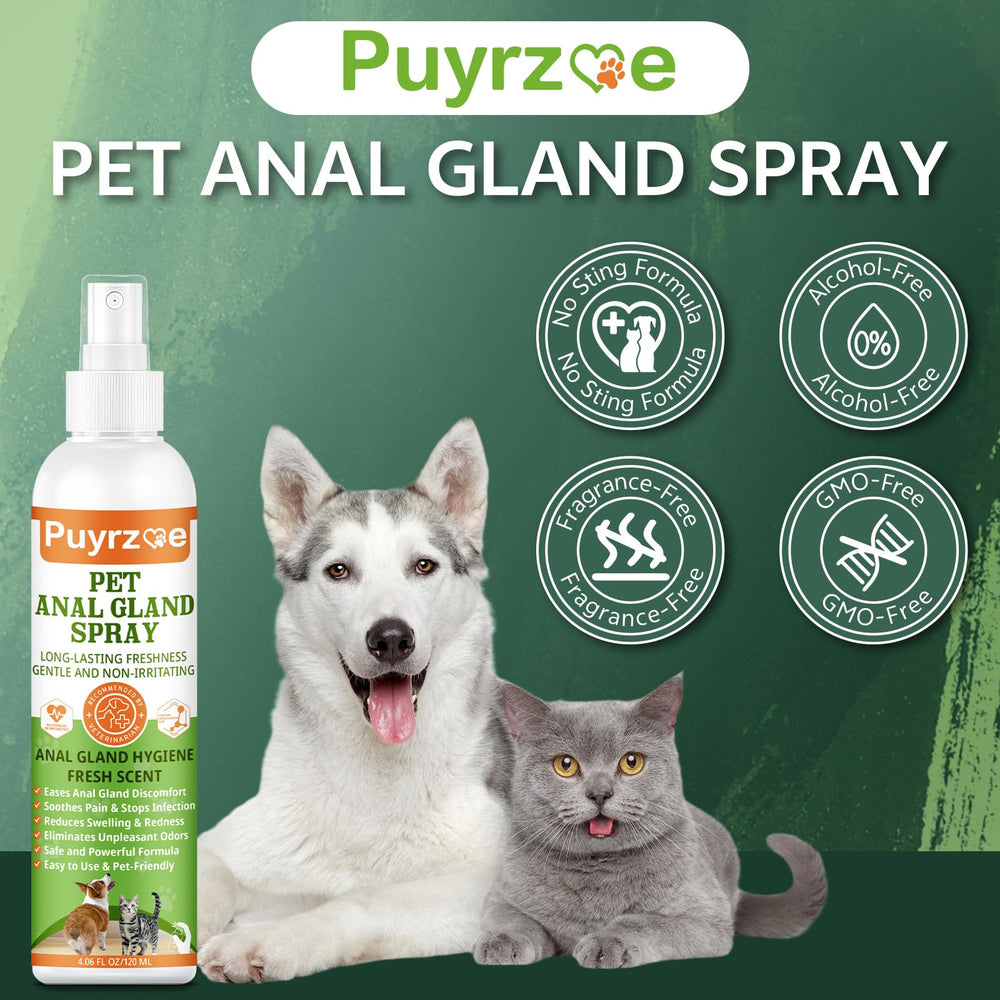Puyrzoe: utilisation rapide et pratique