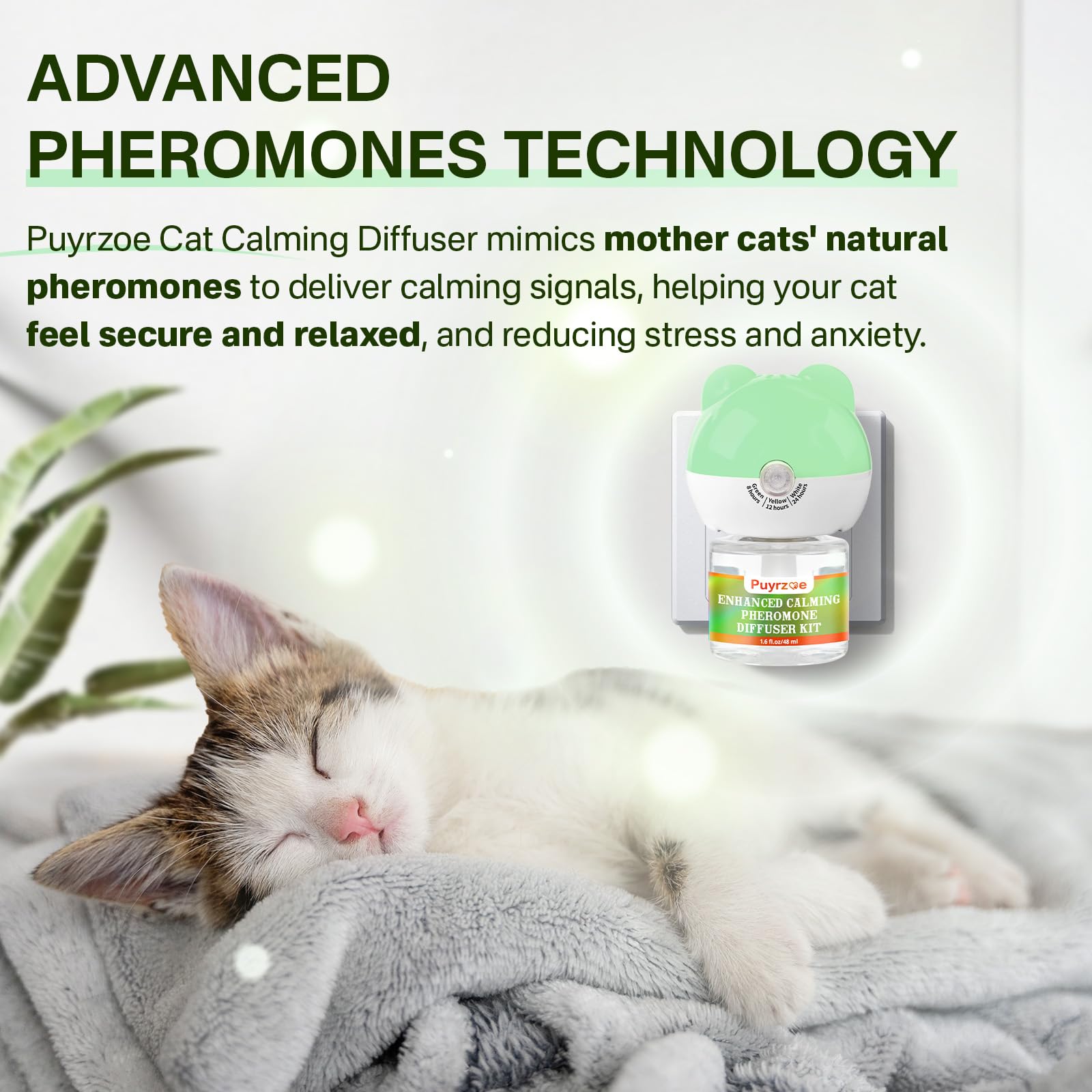 Chat se reposant près du diffuseur puyrzoe, coin calme à la maison.