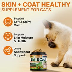 Puyrzoe chat texture creme sans poisson, appétence améliorée.