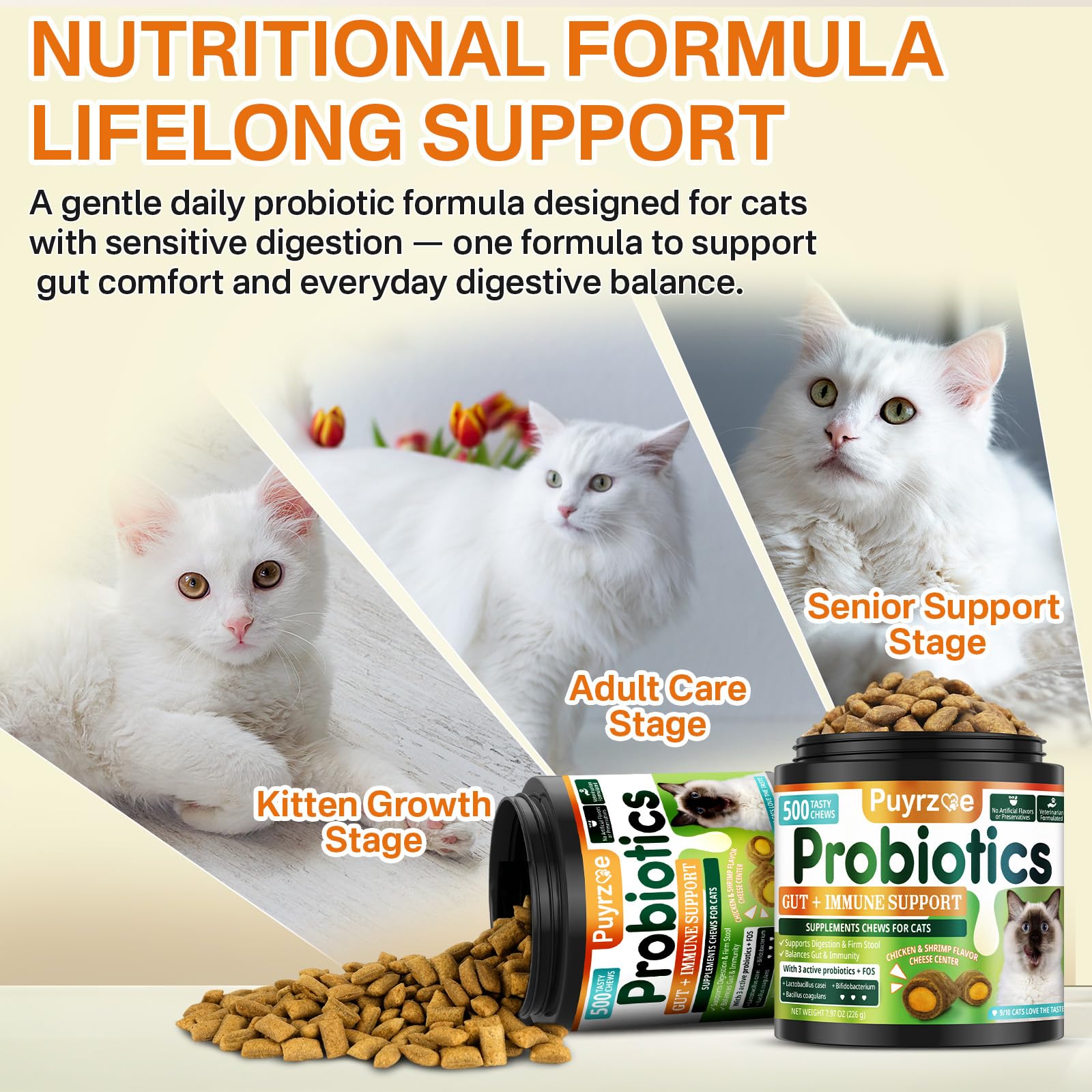 Puyrzoe Chat Utilisation Quotidienne: portion facile pour ingestion sans effort.