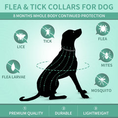 Collier Puyrzoe noir ajustable pour chien, confort et ajustement faciles.