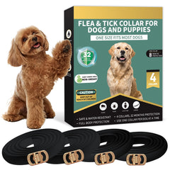 Collier Puyrzoe noir anti-puces et tiques pour chien en extérieur.