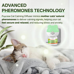 Puyrzoe diffuseur chat couverture 65-m2: espace serein pour le salon.
