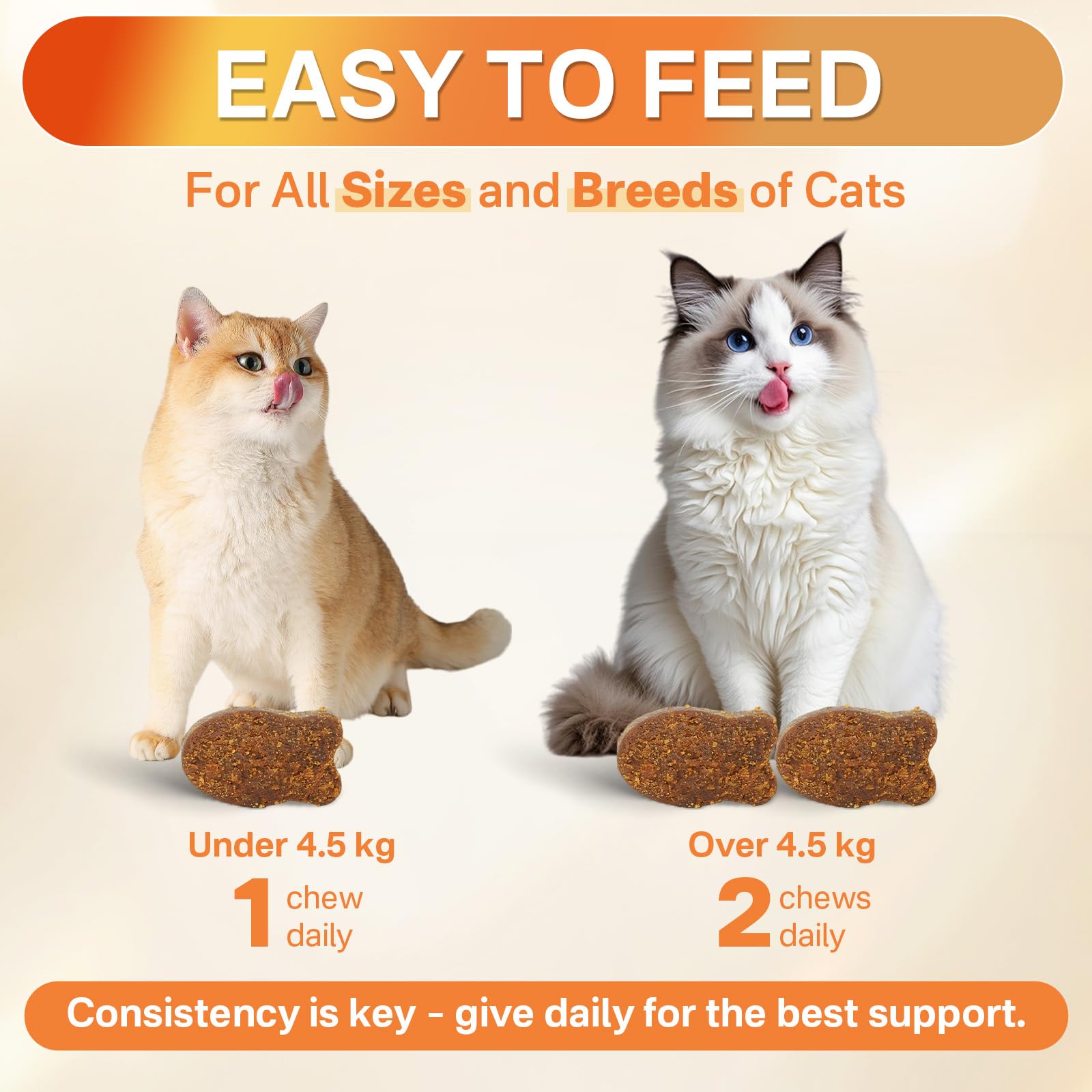 Puyrzoe digestion-confort-chat-comprime, contient probiotiques et prébiotiques.