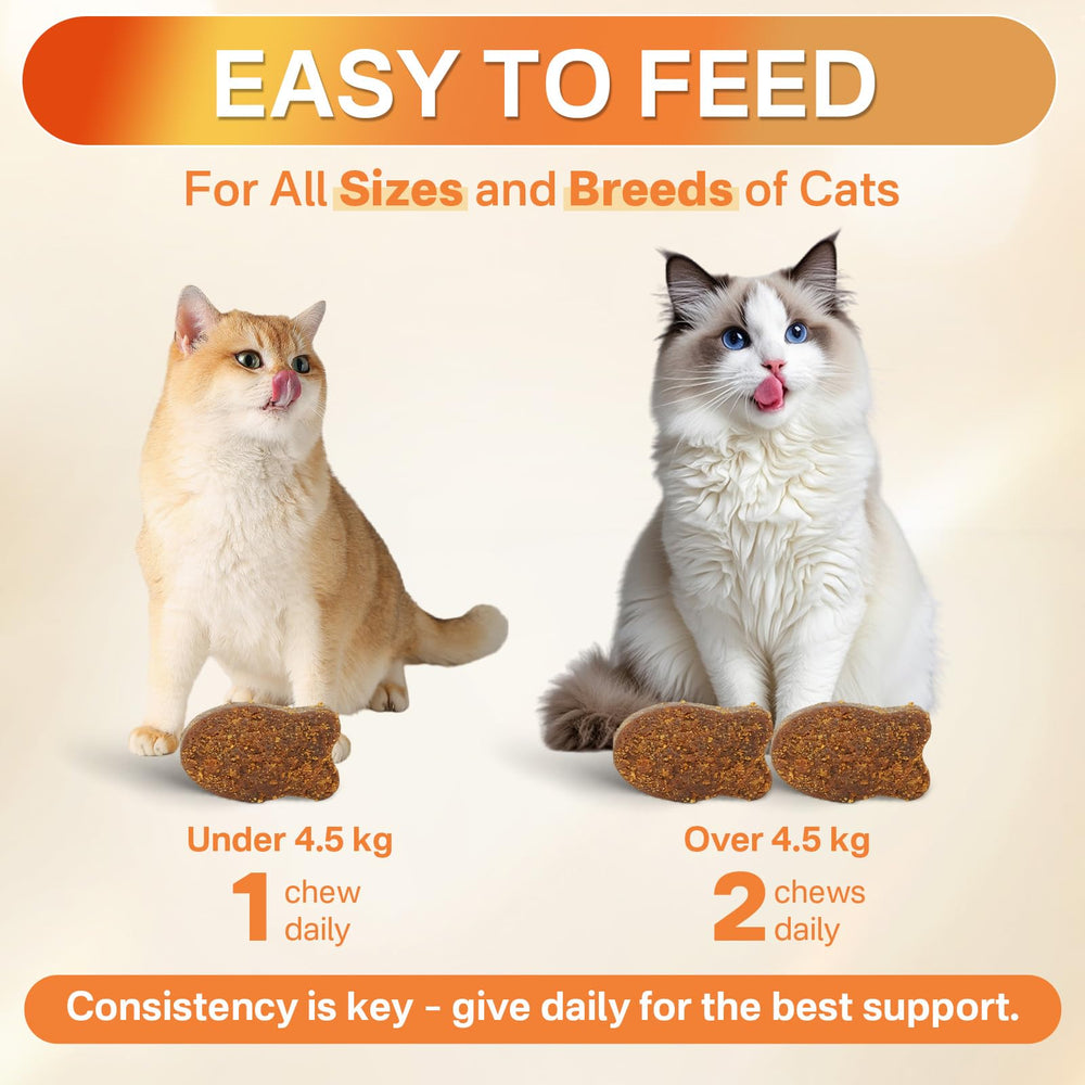 Puyrzoe digestion-confort-chat-comprime, contient probiotiques et prébiotiques.