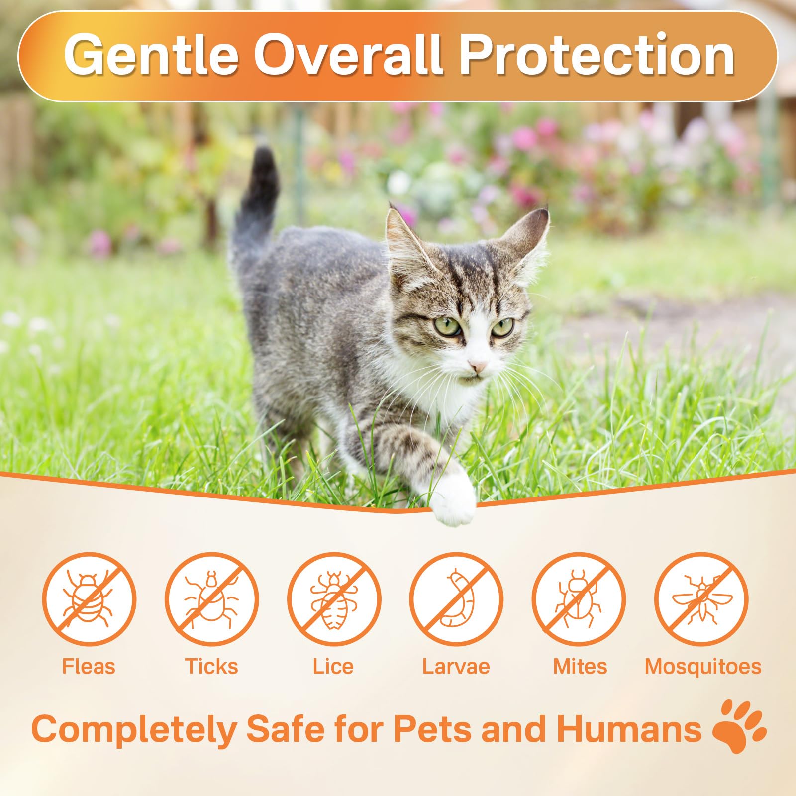 Puyrzoe emballage-chat-comprime, conditionnement pratique pour prendre soin de votre compagnon.