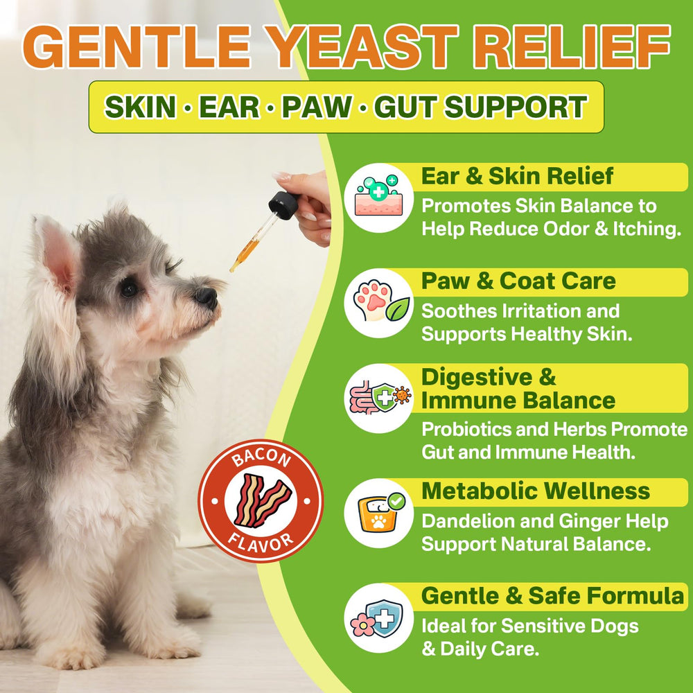 Puyrzoe solution naturelle, équilibre intestinal et immunité soutenus.