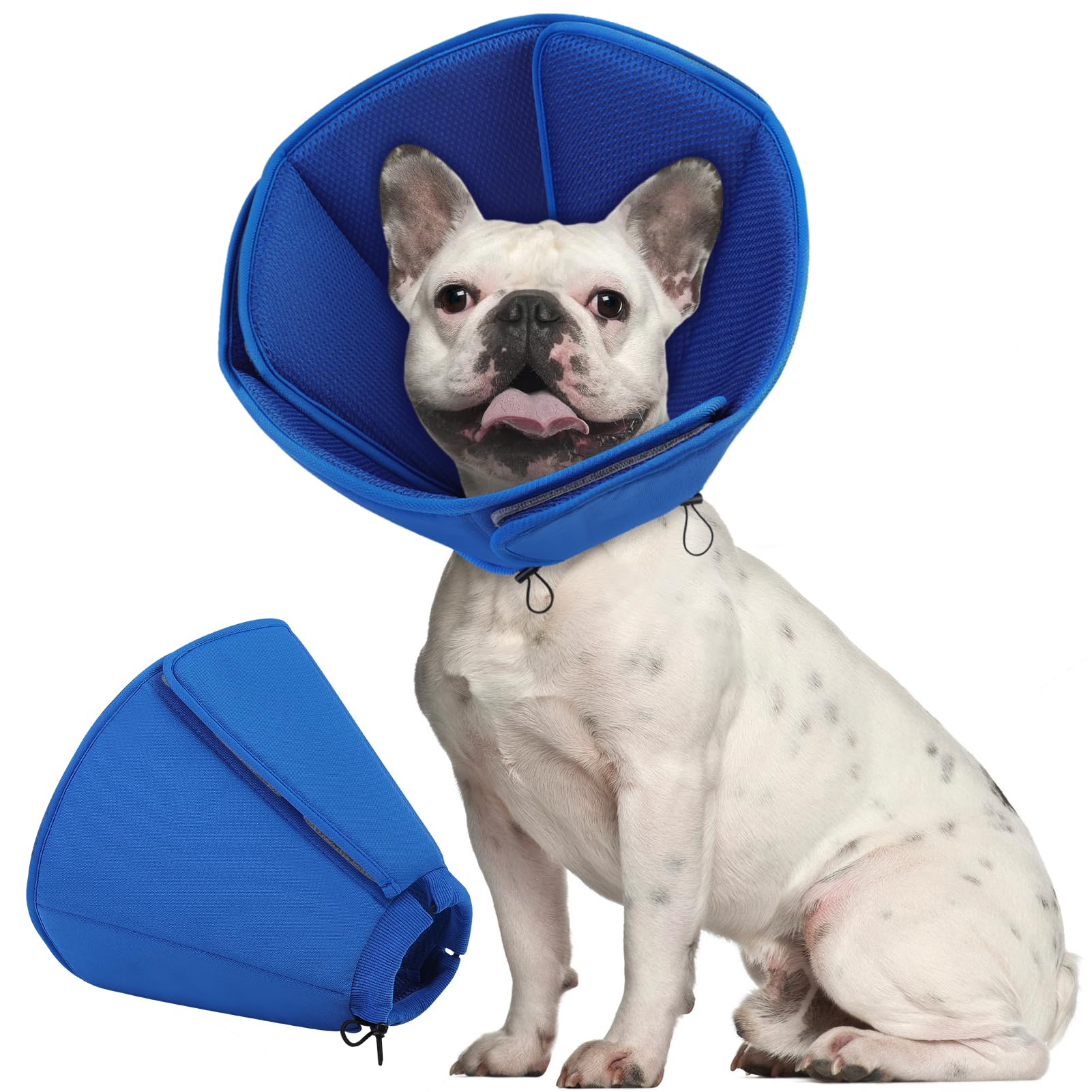 PUZAUKAL collier cone doux pour chien, confort après chirurgie et reprise alimentaire facilitée.