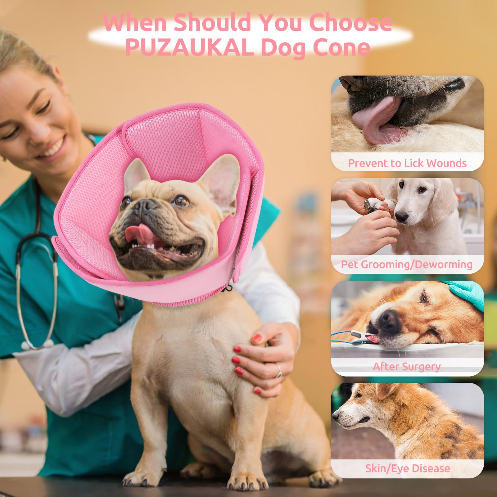 PUZAUKAL tailles variées cone chien pour tout format de museau