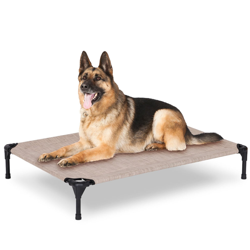 PVY-lit-chien-surleve-exterieur en gris, cadre robuste.