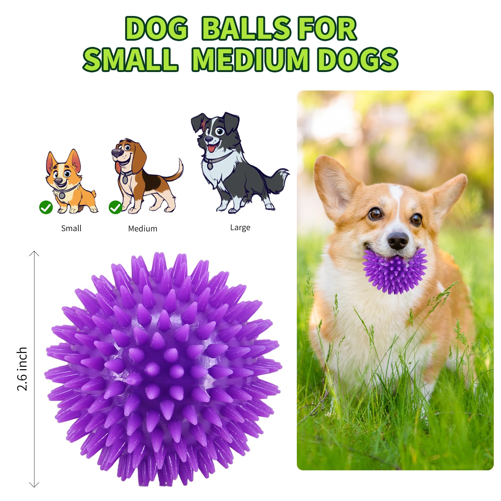 Balles Pweituoet jeu interactif, divertissement pour chiens.