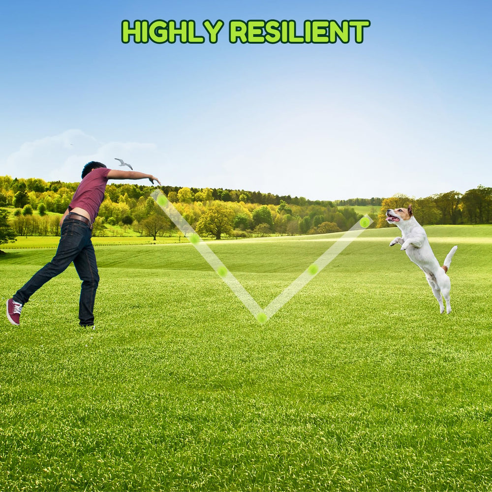 Balles Pweituoet pour entraînement, entraînement positif et jeux.