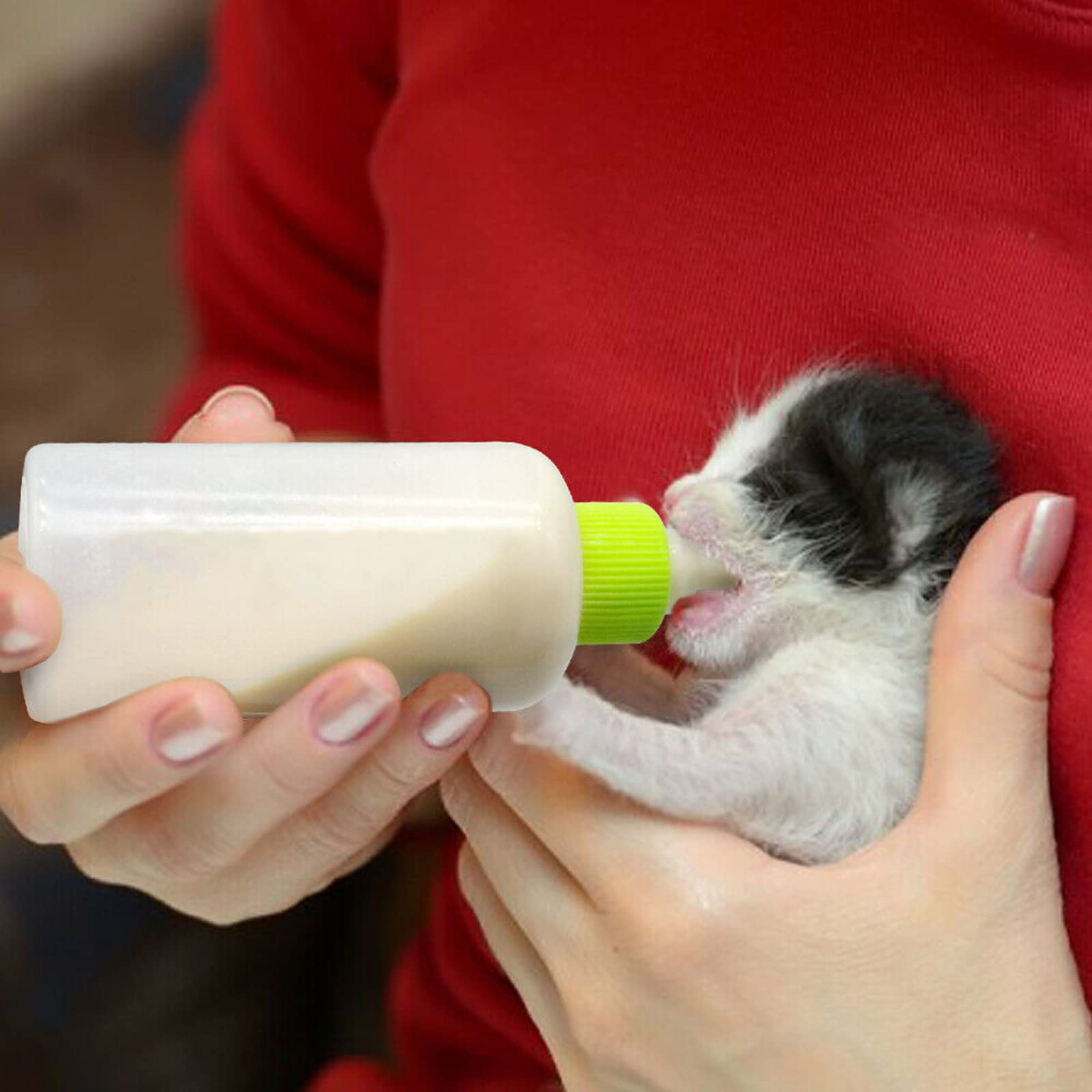 Kit PWOOTEIY durable et réutilisable pour animaux