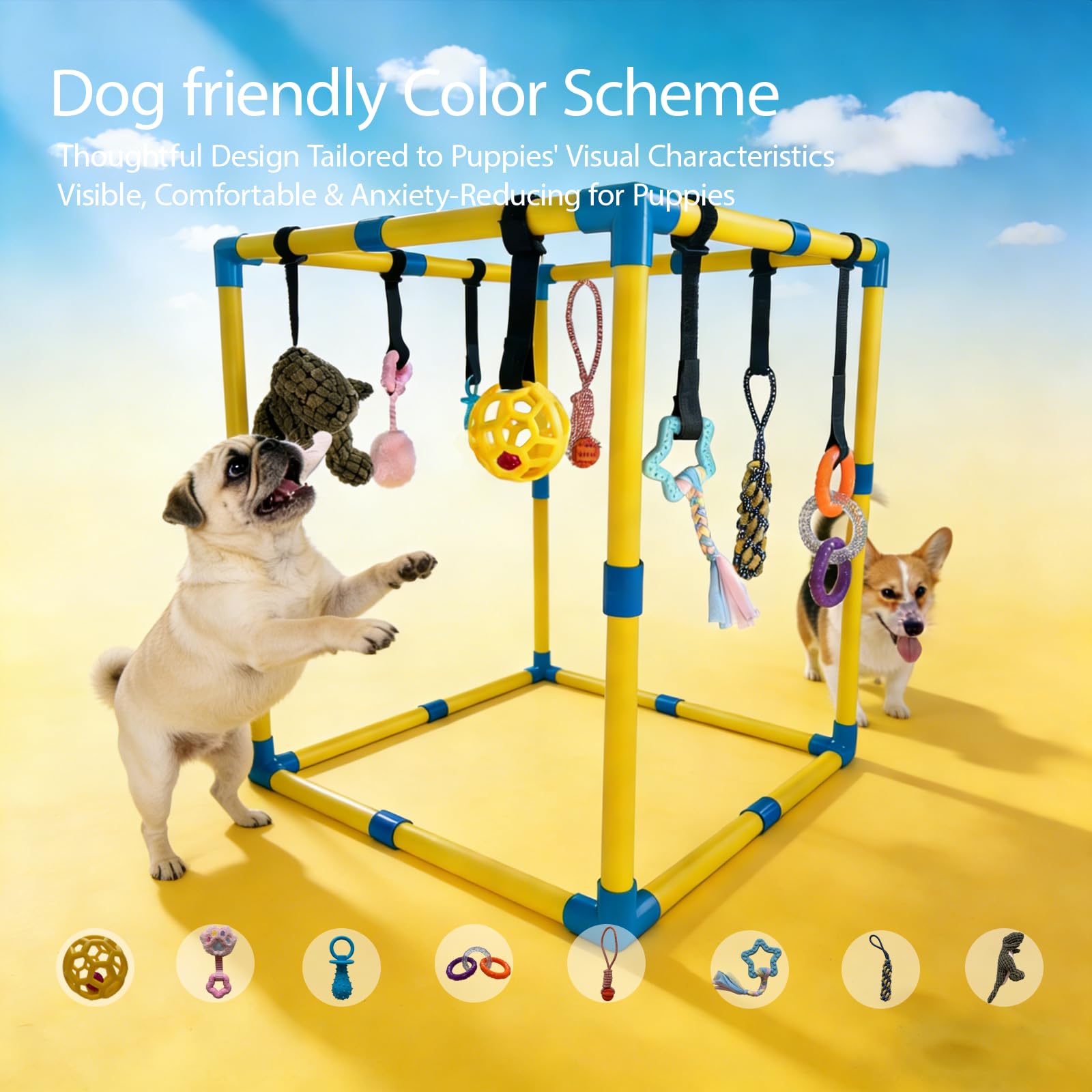 Pwvivjoi: couleurs jaune et bleu hautement visibles pour attirer l'attention du chiot.