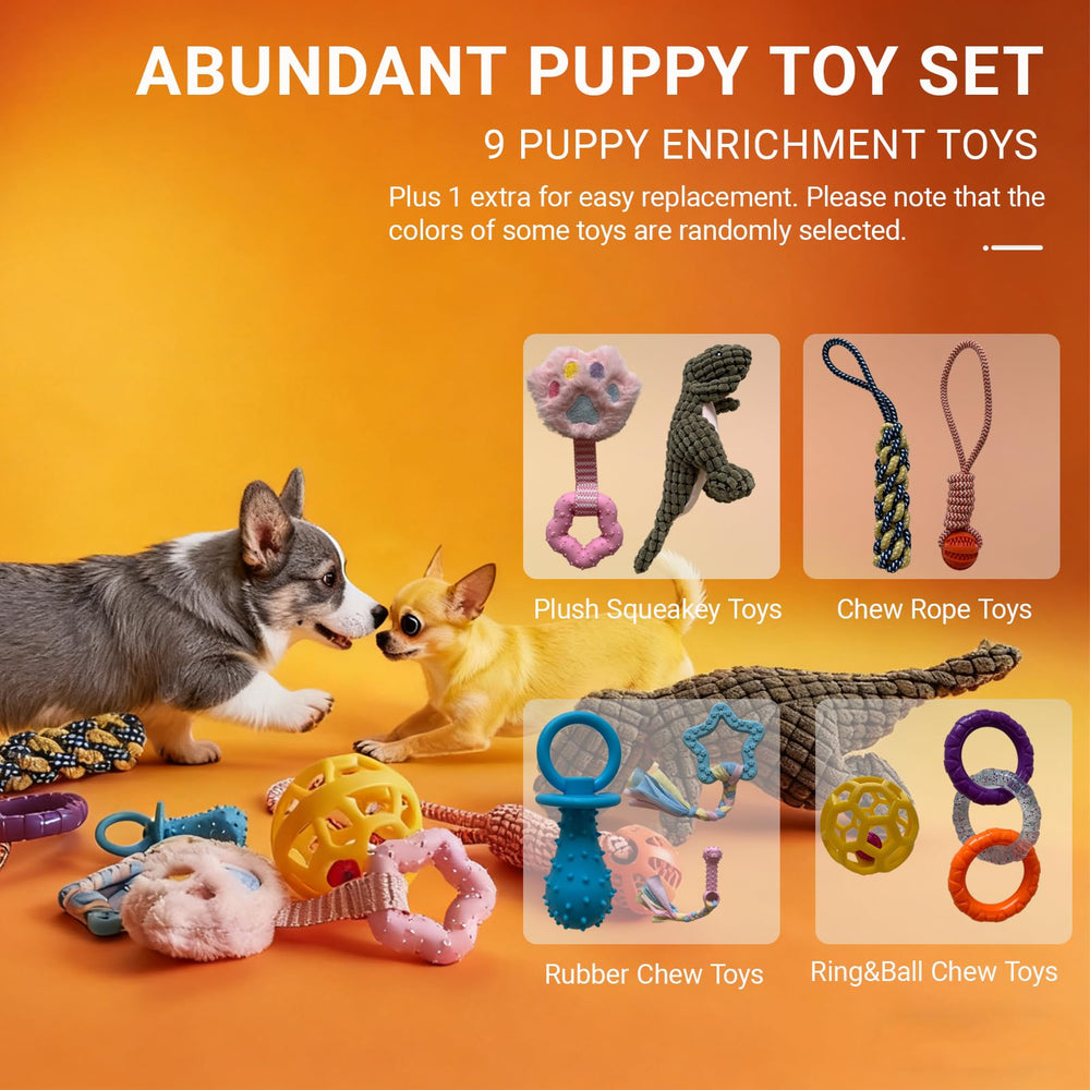 Pwvivjoi: jouets suspendus pour chiot offrant stimulation et divertissement durables.