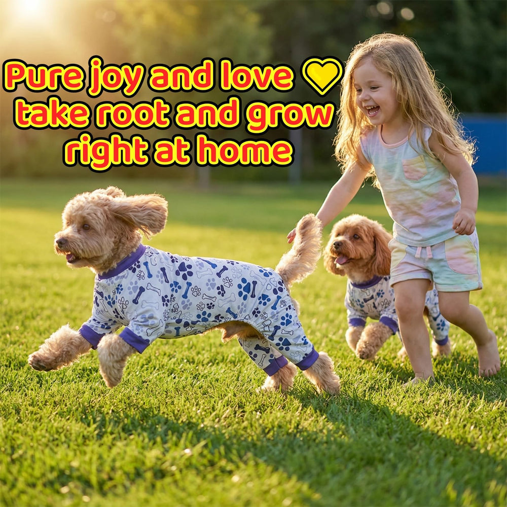 Pyjama pour chien calmant, coupe haute sur le ventre, pratique pour les pauses toilettes.