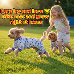 Pyjama pour chien calmant, coupe haute sur le ventre, pratique pour les pauses toilettes.