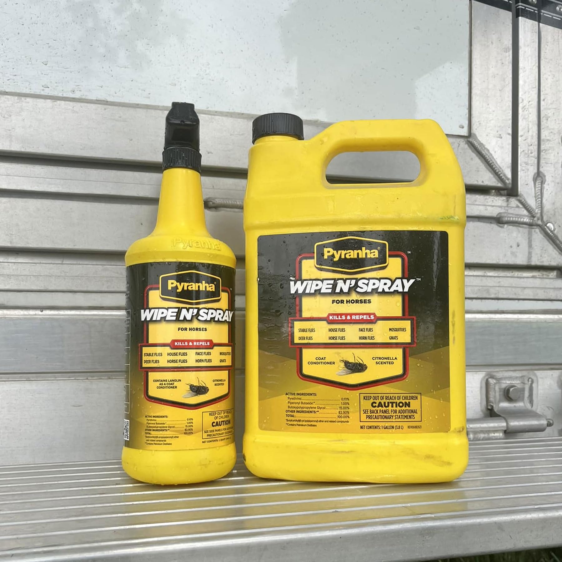 Poil brillant et soigné après l'utilisation de Pyranha Wipe N' Spray.