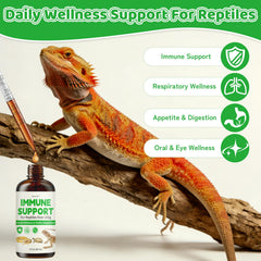 Gouttes Qanoreth favorisant le confort oculaire et respiratoire des reptiles.